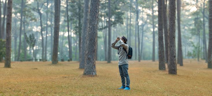 Person looking up in forest